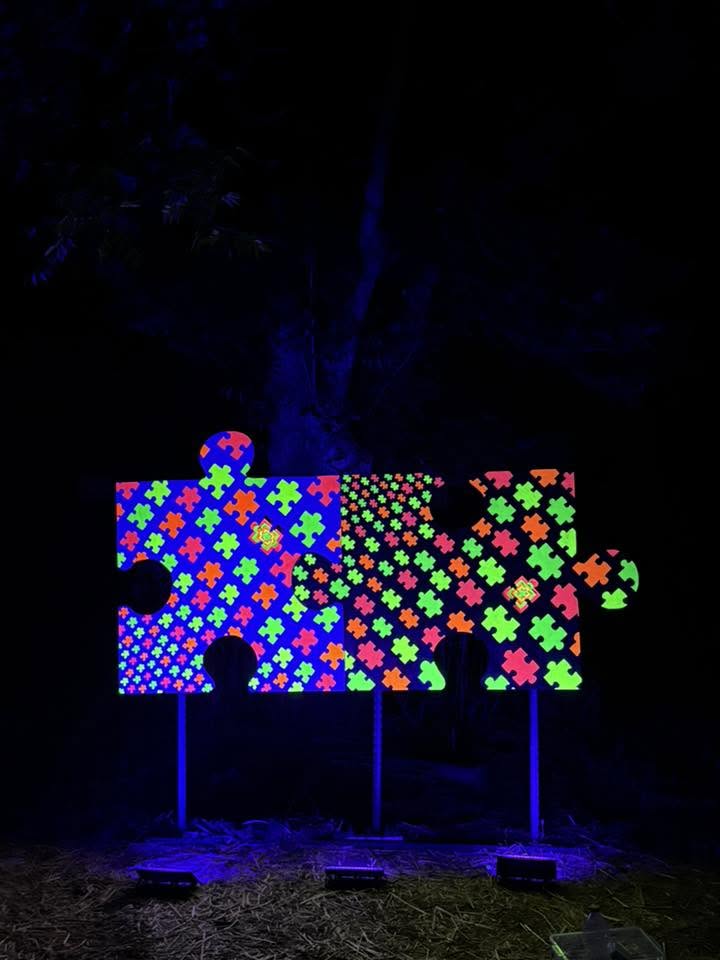 A cluster of colourful illuminated flower sculptures at night.